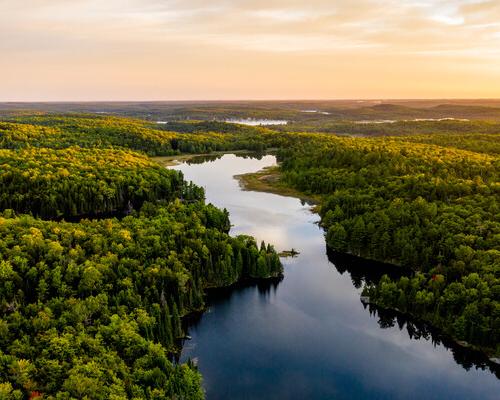 A river winding through a forest while the sun is setting. 